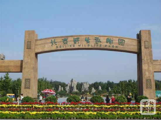北京绿野晴川动物园有限公司大门入口,"北京野生动物园"标识.