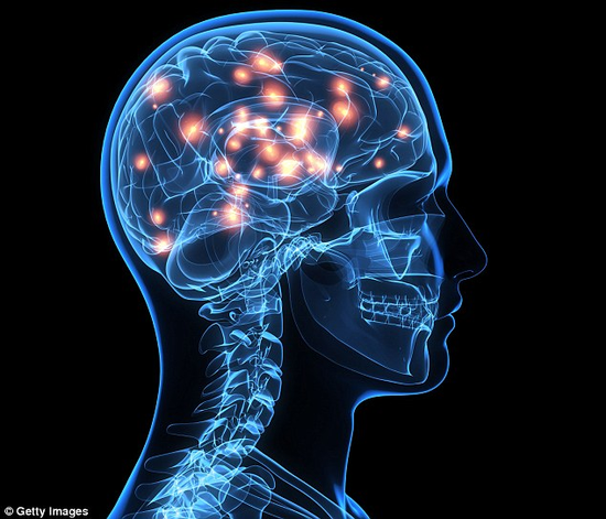 高智商者可自我协调大脑网络 让大脑连接更高