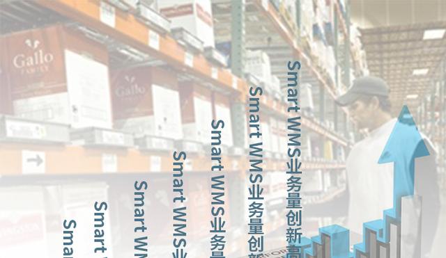 Smart WMS 在第三方物流仓库管理领域市场取