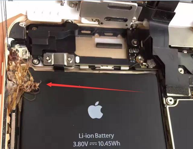 苹果iPhone6s Plus新机异响,拆机后发现小强尸