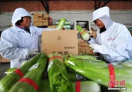 惠农 | 农产品产地初加工补助资金达36亿元 - 财