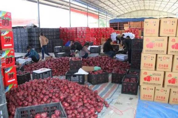 惠农 | 农产品产地初加工补助资金达36亿元 - 财