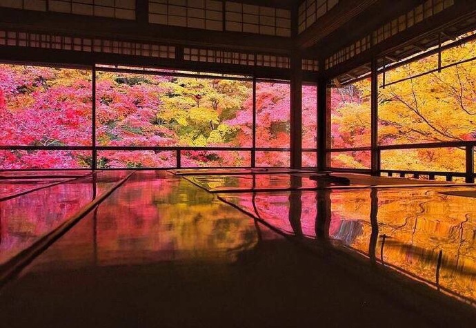 日本京都琉璃光院,日本最美的赏叶之处也不为