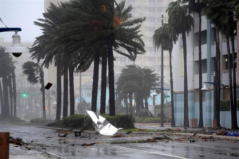 飓风过境美国佛州 狂风骤雨掀断大树 - 国际 - 东