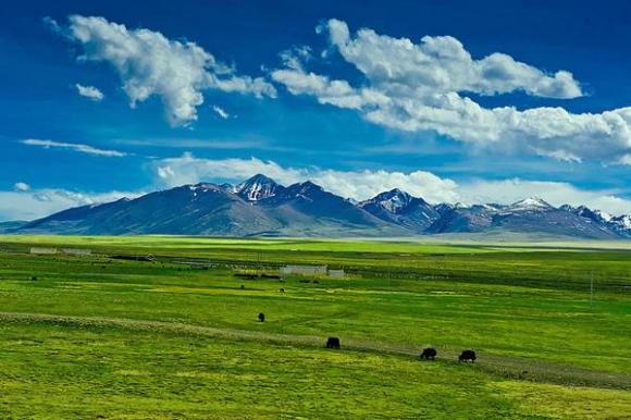 超详细的青藏线自驾游旅游攻略 - 国内 - 东方网