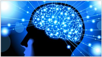 大脑营养 一键优化记忆力 - 科技 - 东方网合作站