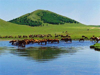蒙古国为什么陷入深度经济危机? - 国际 - 东方