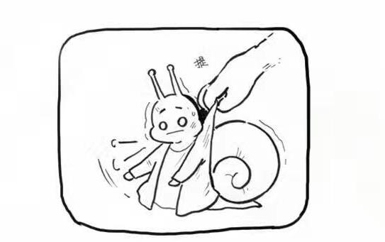 《如果蜗牛有爱情》,真正的蜗牛不是王子文,而