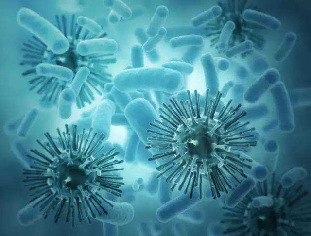 专家讲座 如何区分细菌感染与病毒感染? - 健康
