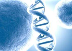 基因检测对于预防肿瘤和肿瘤治疗有什么帮助?