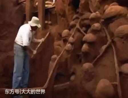 他们用10吨水泥灌入蚂蚁地下巢穴,挖开后一幕