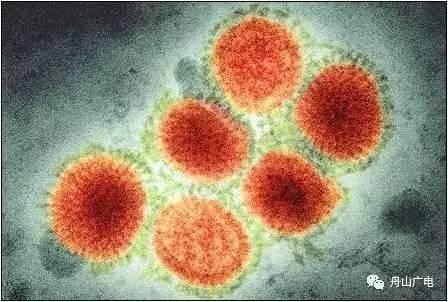 舟山检出2017年首例H1N1流感病毒患者!快来