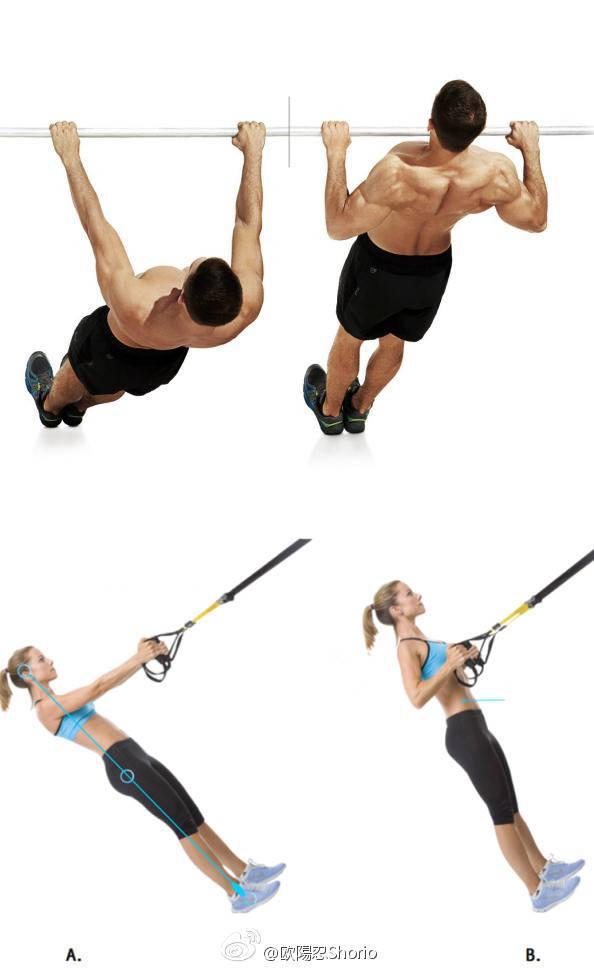 三角肌后束+斜方肌训练计划8个动作增强肩背