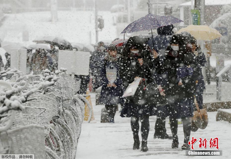 日本多地持续大雪 气温降至入冬最低 - 国际 - 东