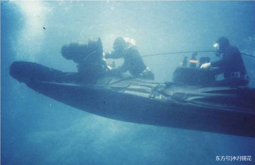 美海军为提防国外特种部队:培育上万头海豚和