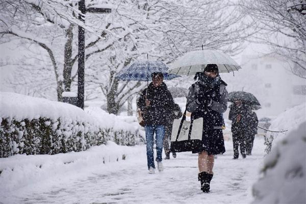 日本罕见暴雪超两米:妹子依旧光腿上路 - 国际