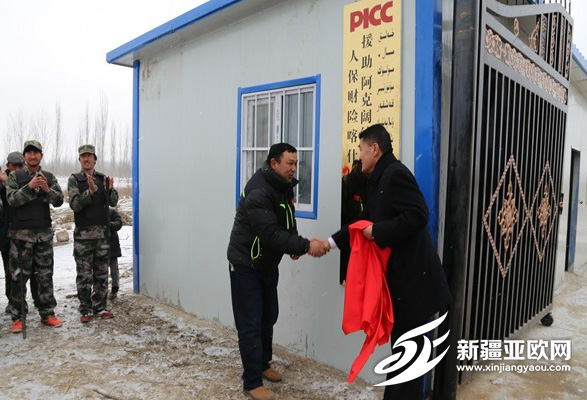 新疆人保财险喀什分公司鸽子养殖计划助力扶贫