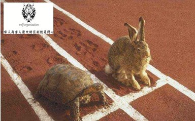 乌龟7次跑赢兔子凭啥,笑抽了 - 笑话 - 东方网合