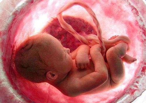 孕妇吃了它胎儿竟会流产,100%的孕妇都会吃