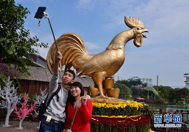 春节期间广东长鹿旅游休博园举行生肖鸡文化节