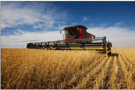 2017年农业发展面临转型期,迎来四大商机机遇