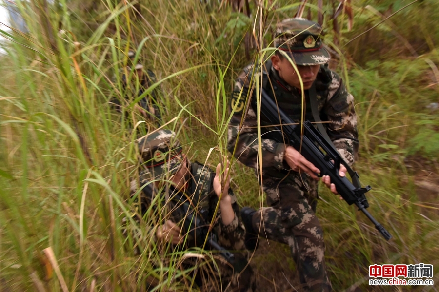 武警节后练兵忙 野外丛林搜索训练有序展开 - 