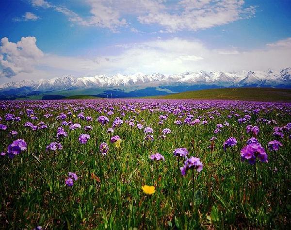 新疆旅游必去的景点 - 国内 - 东方网合作站