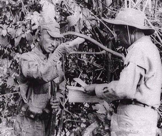 的最后一个日本兵,30年打死130名菲律宾人 - 人