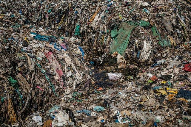 孟加拉湾成巨型垃圾场 清洁印度何时来 - 国际
