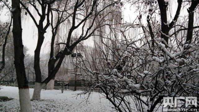 甘肃现 3 月罕见雨雪天气 兰州降雪量有望打破